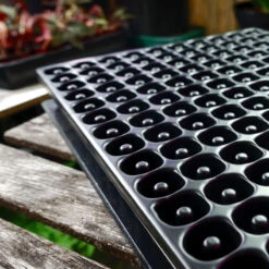 Meyer Uttryckare Till 150 Celler -Hot Sale Wexthuset Store 150 cell uttryckare i pluggbratte