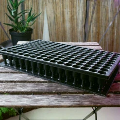 Meyer Uttryckare Till 150 Celler -Hot Sale Wexthuset Store 150 cell uttryckare med pluggbratte