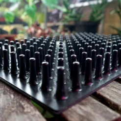 Meyer Uttryckare Till 150 Celler -Hot Sale Wexthuset Store 150 cell uttryckare piggar