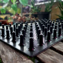 Meyer Uttryckare Till 77 Celler -Hot Sale Wexthuset Store 77 cell uttryckare piggar