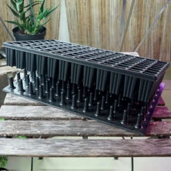 Meyer Uttryckare Till 96 Celler -Hot Sale Wexthuset Store 96 cell uttryckare med pluggbratte