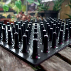 Meyer Uttryckare Till 96 Celler -Hot Sale Wexthuset Store 96 cell uttryckare piggar