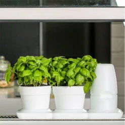 New Products -Hot Sale Wexthuset Store basilikaodling inomhus i sjalvvattnande minigarden basic