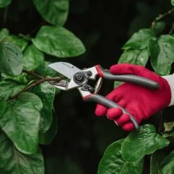 Professionell Mothållssekatör, 20 Mm -Hot Sale Wexthuset Store beskarning med professionel mothallssekator 20 mm