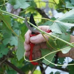 Trädgårdssax, Ergo Pruner 14 Mm -Hot Sale Wexthuset Store beskarning med tradgardssax ergo pruner wh
