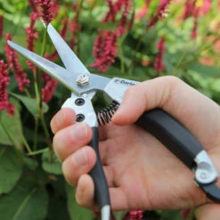 Beskärningssax, Compact Shear