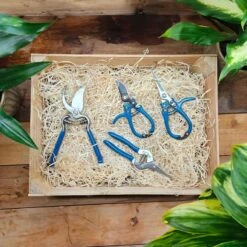 Sekatör, Straight Pruning Snips Pro -Hot Sale Wexthuset Store bla sekatorer wh 2