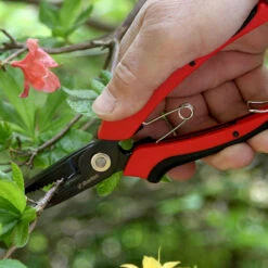 Blomstersax, Cut-n-Hold