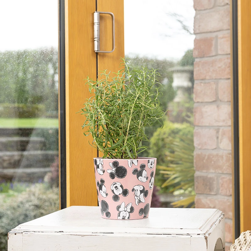 Eco Bambukruka 3-set Mickey, Rosa 4 Eco Bambukruka 3-set Mickey, Rosa - Image 2