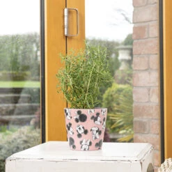 Eco Bambukruka 3-set Mickey, Färgmix -Hot Sale Wexthuset Store eco bambukruka 3 set mickey rosa disney