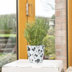 Eco Bambukruka 3-set Mickey, Färgmix -Hot Sale Wexthuset Store eco bambukruka mickey bla 1