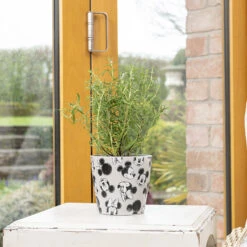 Eco Bambukruka 3-set Mickey, Färgmix -Hot Sale Wexthuset Store eco bambukruka mickey gra 1