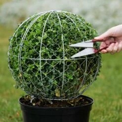 Formklippningssax, Mini -Hot Sale Wexthuset Store formklippningssax mini buxbolm