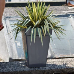 Elho Kruka Loft Urban Kvadratisk 37 Cm, Antracit -Hot Sale Wexthuset Store fyrkantig gra kruka utomhus urban loft