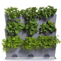 Minigarden Vertical Växtvägg, Svart -Hot Sale Wexthuset Store gra vaxtvagg planterad med kryddvaxter 1