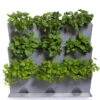 Minigarden Vertical Växtvägg, Grå -Hot Sale Wexthuset Store gra vaxtvagg planterad med kryddvaxter