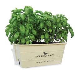 Självvattnande Odlingsbalja, Vintage Cream -Hot Sale Wexthuset Store greensmart odlingsbalja vintage cream basilika