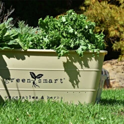 Självvattnande Odlingsbalja, Vintage Cream -Hot Sale Wexthuset Store greensmart odlingsbalja vintage cream miljobild