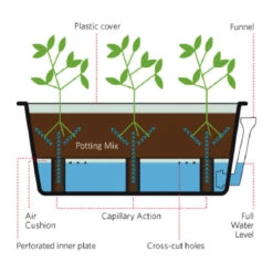 Självvattnande Odlingsbalja, Forest Green -Hot Sale Wexthuset Store greensmart watering system
