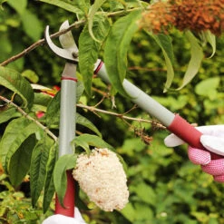 Grensax 25 Mm -Hot Sale Wexthuset Store grensekator short handled loppers narbild