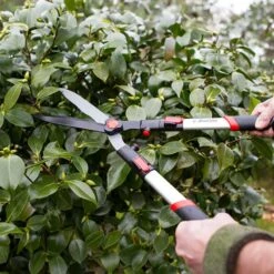 Häcksax Med Teleskophandtag -Hot Sale Wexthuset Store hacksax med teleskophandtag darlac beskarning