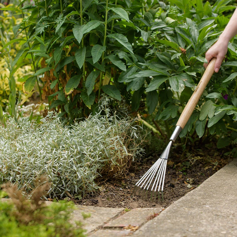 Handräfsa, Border Shrub Rake 4 Handräfsa, Border Shrub Rake - Image 2