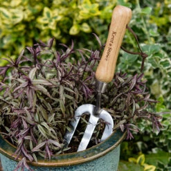 Plantergaffel, Hand Fork -Hot Sale Wexthuset Store handredskap plantergaffel