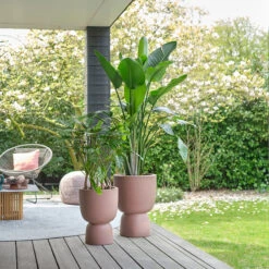 Elho Kruka Pure Coupe 41 Cm, Rosabrun -Hot Sale Wexthuset Store kruka Pure coupe 35 cm rosabrun miljobild 1