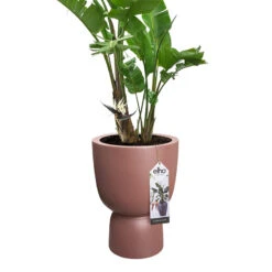 Elho Kruka Pure Coupe 35 Cm, Rosabrun