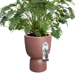 Elho Kruka Pure Coupe 41 Cm, Rosabrun