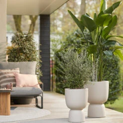 Elho Kruka Pure Coupe 35 Cm, Beige -Hot Sale Wexthuset Store kruka Pure coupe miljobild