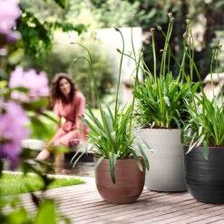 Elho Kruka Fuente Rings 38 Cm, Svart -Hot Sale Wexthuset Store kruka fuente rings blandade farger