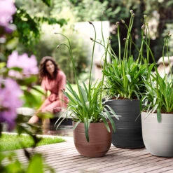 Elho Kruka Fuente Rings 38 Cm, Stengrå -Hot Sale Wexthuset Store kruka fuente rings kollektion blandade farger