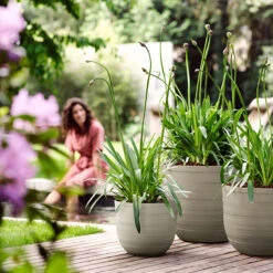 Elho Kruka Fuente Rings 30 Cm, Stengrå -Hot Sale Wexthuset Store kruka fuente rings kollektion stengra