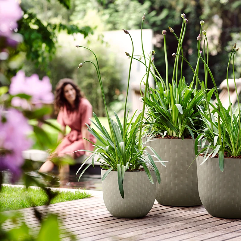 Elho Kruka Fuente Grains 30 Cm, Stengrå 6 Elho Kruka Fuente Grains 30 Cm, Stengrå - Image 4