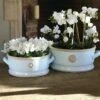 Kruka Med Handtag Kew Garden, Duck Egg Large -Hot Sale Wexthuset Store kruka kew garden low bowl duck egg color