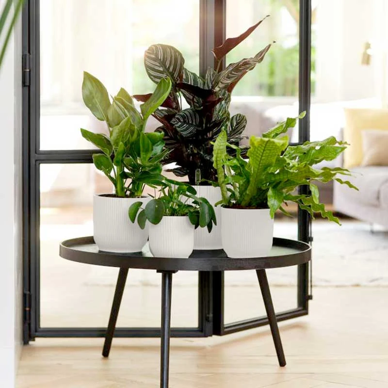 Elho Kruka Vibes Fold 22 Cm, Vit 4 Elho Kruka Vibes Fold 22 Cm, Vit - Image 2