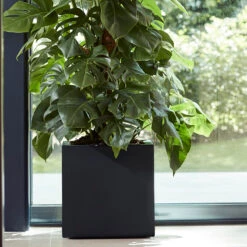 Elho Kruka Vivo Med Hjul 39x39 Cm, Svart