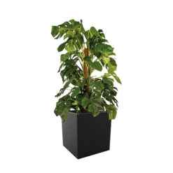 Elho Kruka Vivo Med Hjul 39x39 Cm, Svart -Hot Sale Wexthuset Store kruka vivo med hjul 39x39 cm svart monstera