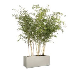 Elho Kruka Vivo Med Hjul 88x39 Cm, Varmgrå -Hot Sale Wexthuset Store kruka vivo med hjul 88x39 cm varmgra trad