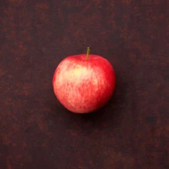 Äpple 'Mantet' - M Uppbindn -Hot Sale Wexthuset Store krukodlad apple mantet miljobild 1