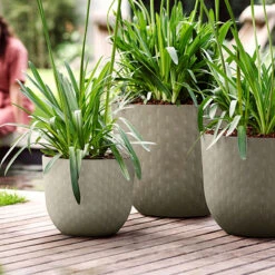 Krukset Fuente Grains, Grå 3-pack