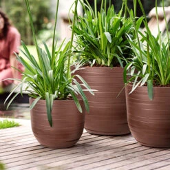 Krukset Fuente Rings, Brun 3-pack