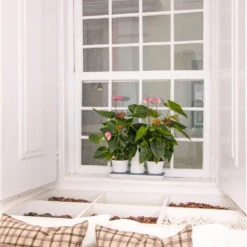 Minigarden Basic Pots M Vit -Hot Sale Wexthuset Store krukvaxter odlade i sjalvbevattning minigarden basic