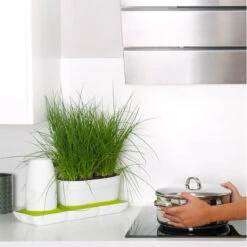 Minigarden Basic Uno S Vit -Hot Sale Wexthuset Store kryddodling i koket med sjalvbevattning