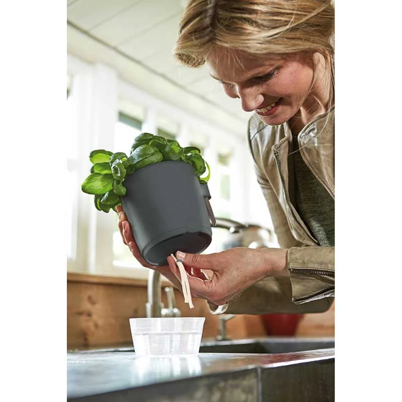 Elho Kryddväxtkruka All-in-1, Antracit 4 Elho Kryddväxtkruka All-in-1, Antracit - Image 2