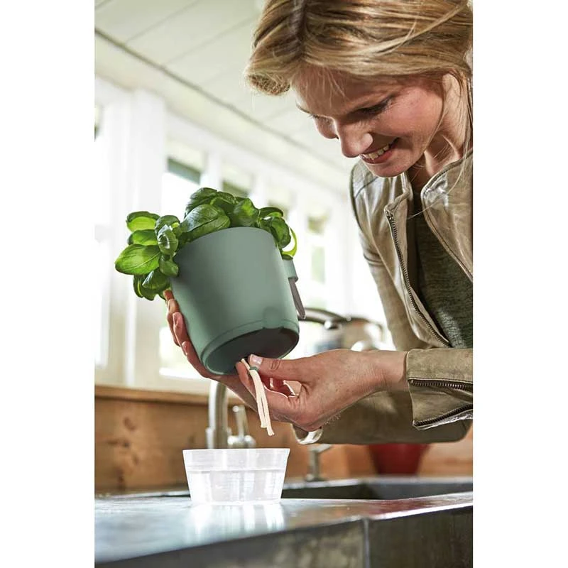 Elho Kryddväxtkruka All-in-1, Grön 4 Elho Kryddväxtkruka All-in-1, Grön - Image 2
