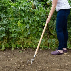 Kultivator Med Långt Skaft -Hot Sale Wexthuset Store kultivator med langt skaft
