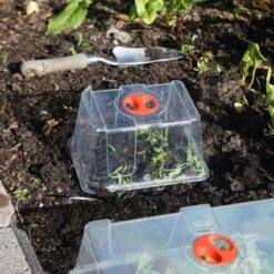 Minidrivhus Liten Utan Hål, 3-pack -Hot Sale Wexthuset Store kupa till minidrivhus liten i koksland wh 1