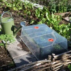 Kupa Till Minidrivhus, XL -Hot Sale Wexthuset Store kupa till minidrivhus xl i koksland wh